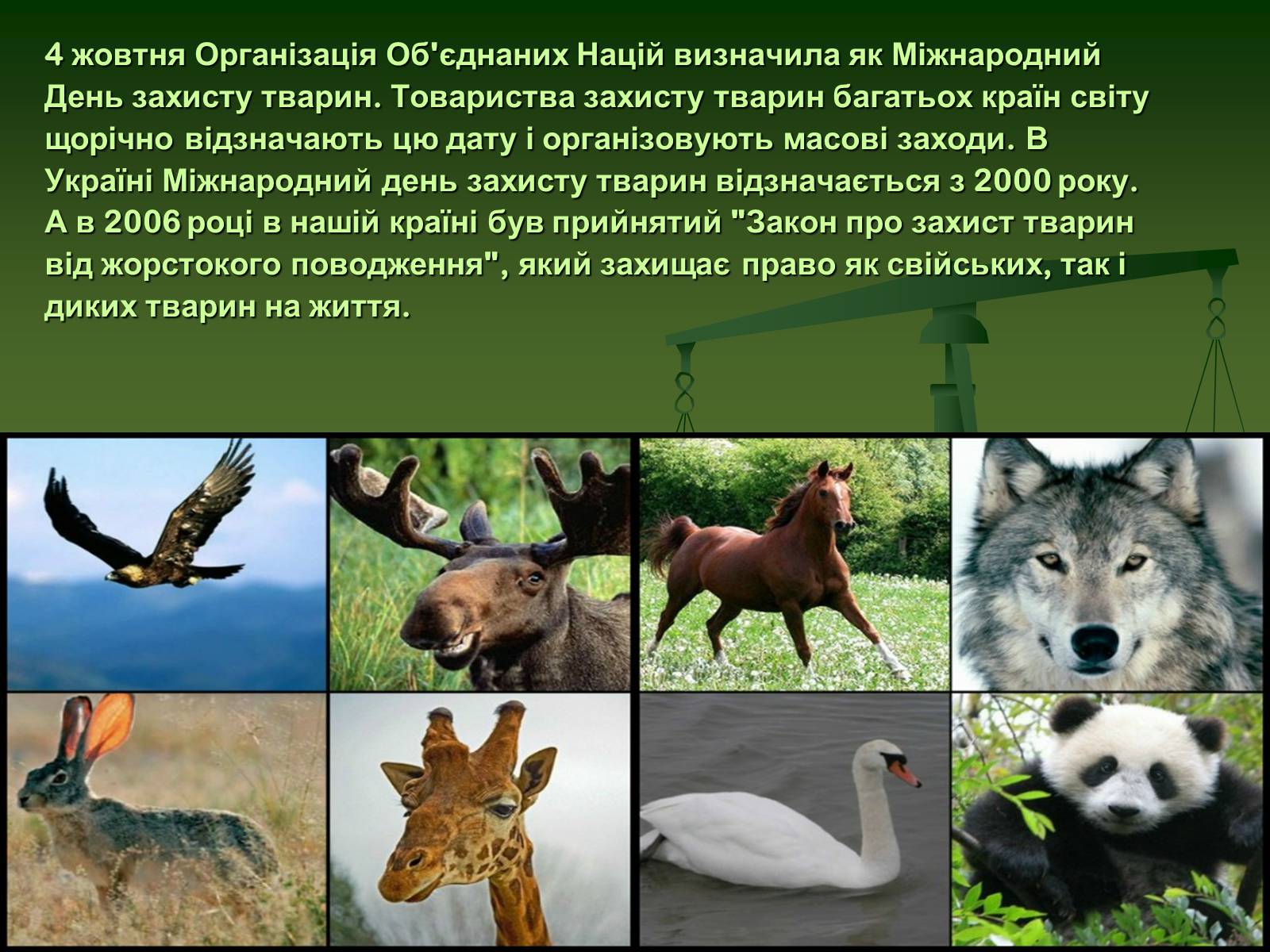 Презентація на тему «Захист тварин в Україні» - Слайд #10