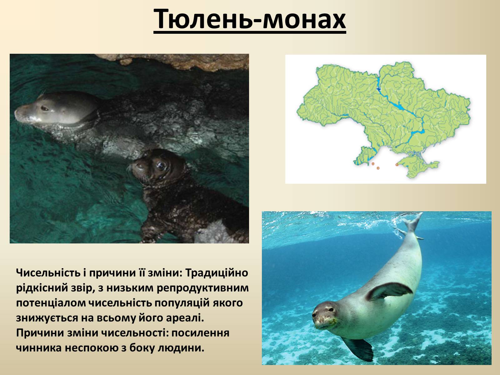 Презентація на тему «Тварини Червоної Книги України» - Слайд #9