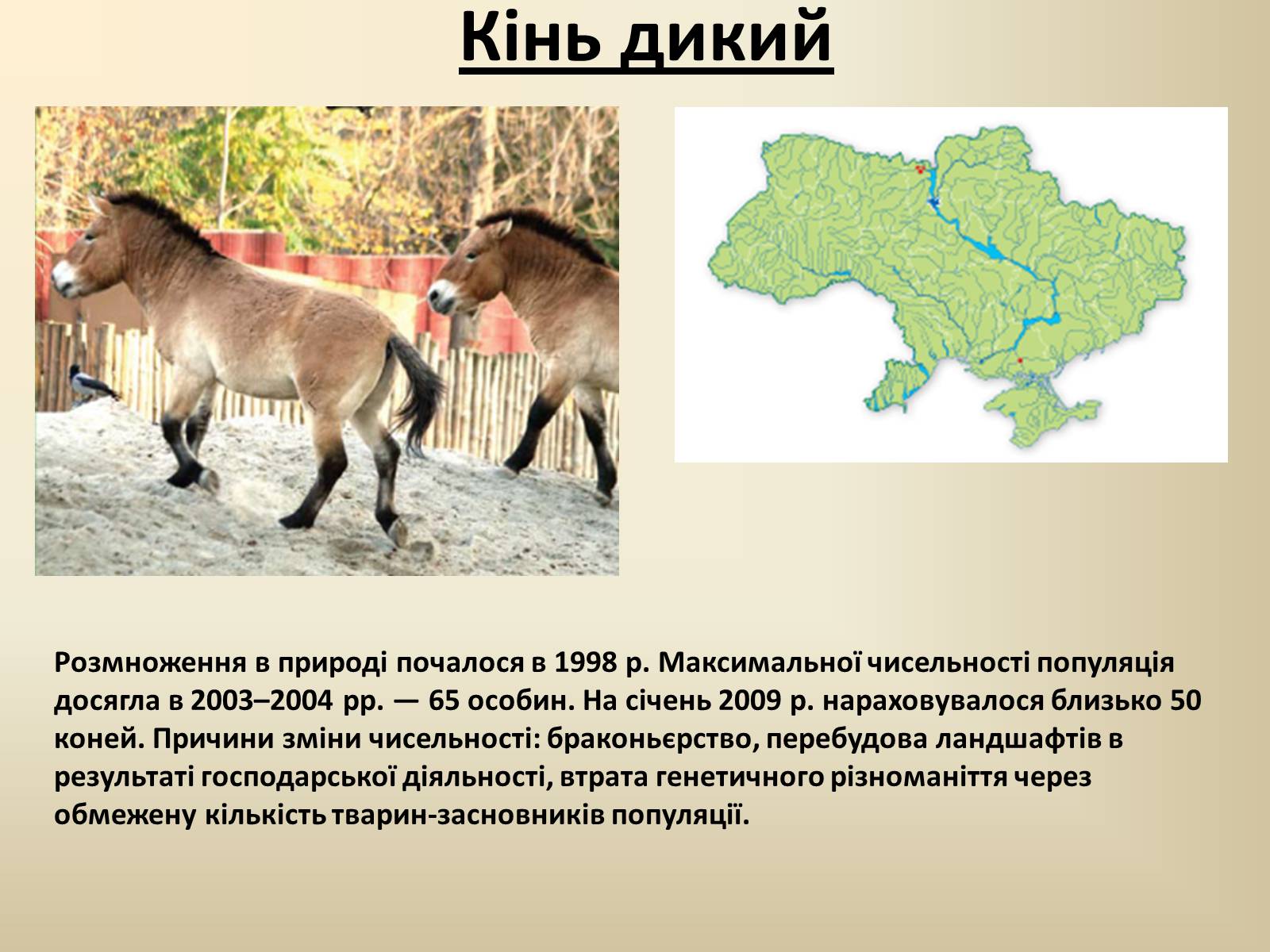 Презентація на тему «Тварини Червоної Книги України» - Слайд #12