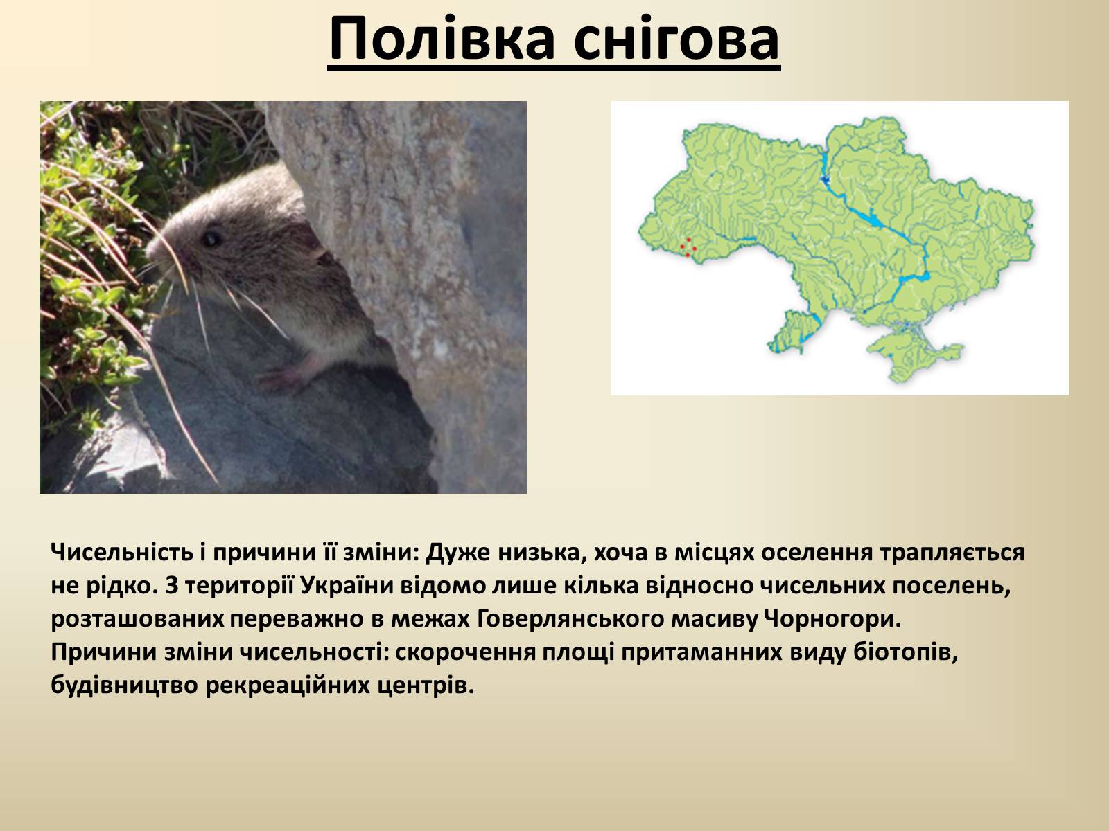 Презентація на тему «Тварини Червоної Книги України» - Слайд #17