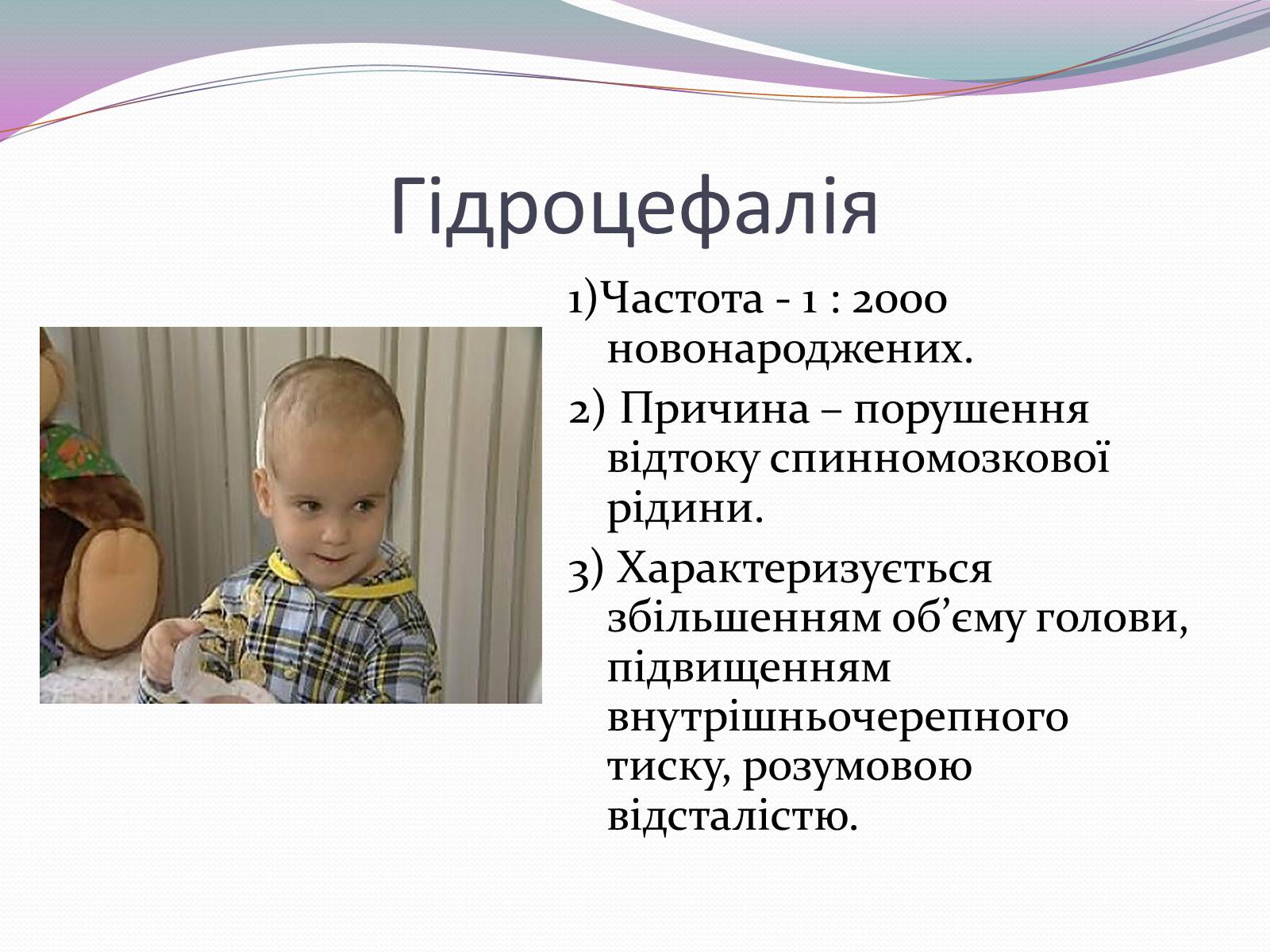 Презентація на тему «Спадкові хвороби» (варіант 1) - Слайд #13