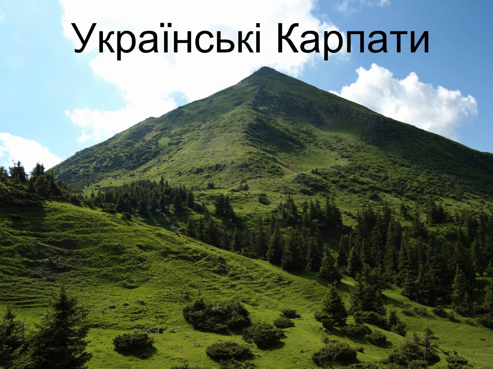 Презентація на тему «Українські Карпати» (варіант 3) - Слайд #1