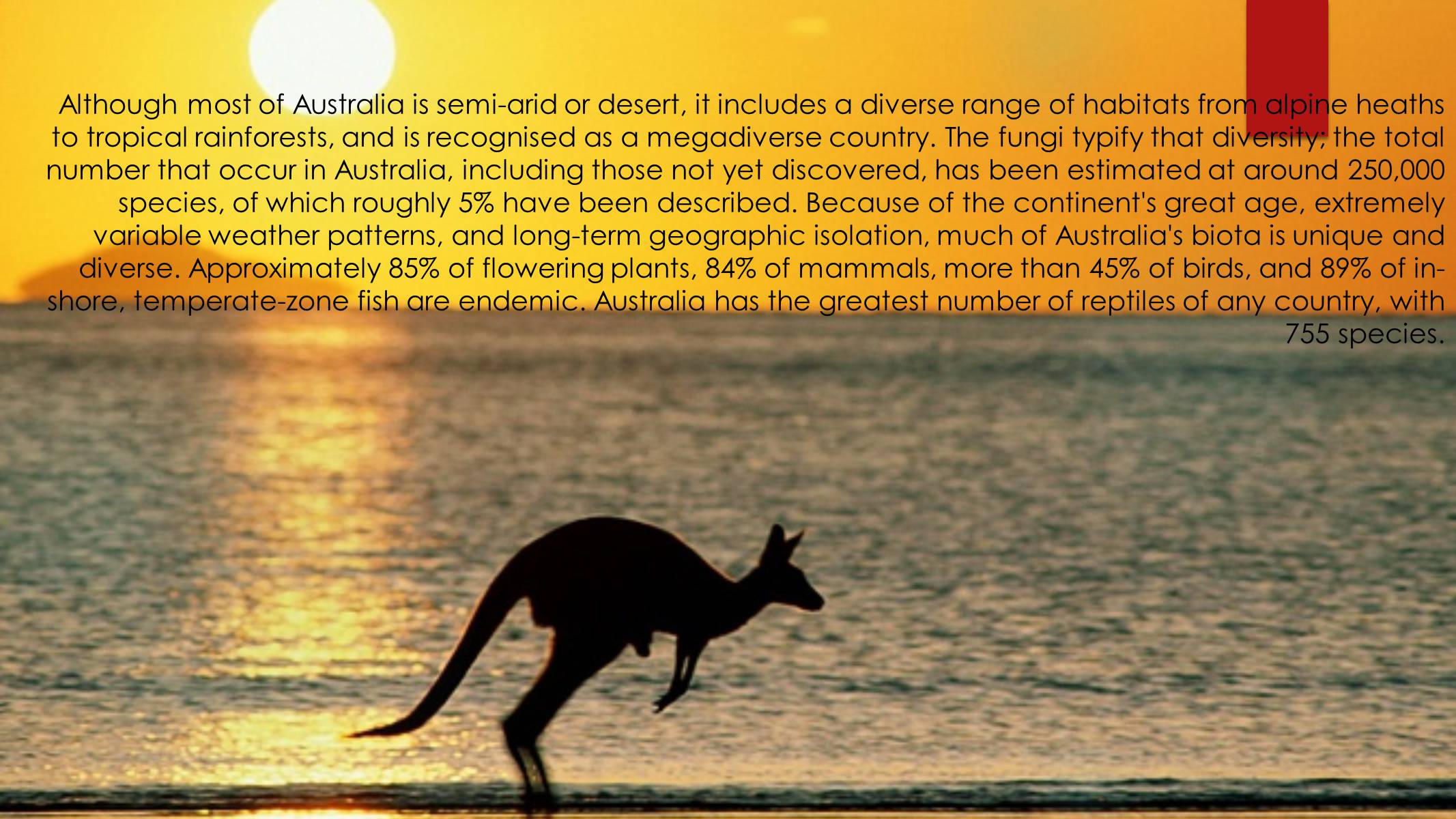 Презентація на тему «Australia» (варіант 3) - Слайд #6