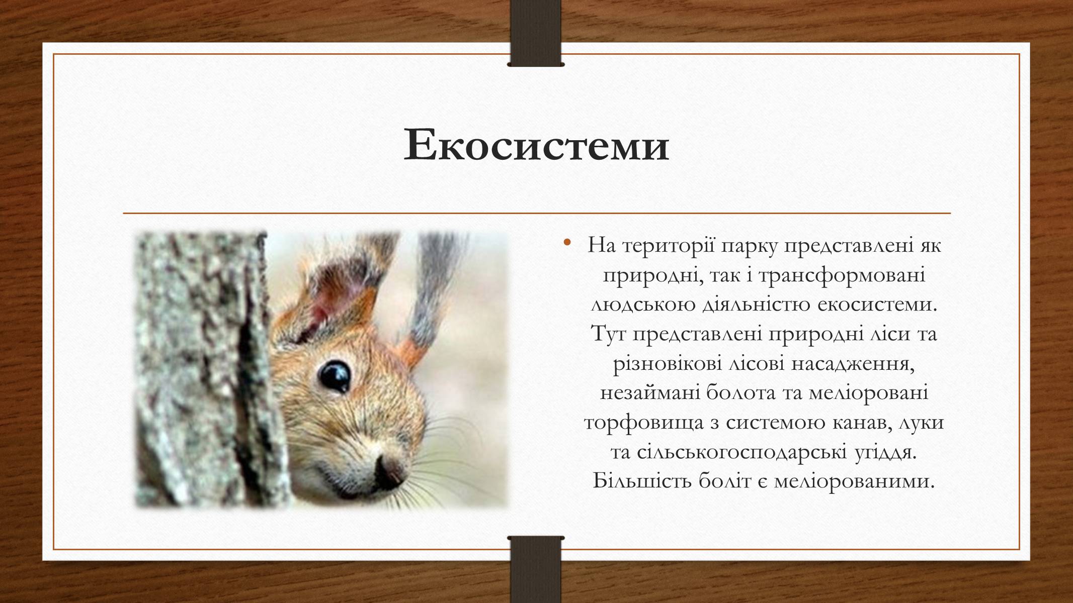 Презентація на тему «Шацький національний природний парк» (варіант 1) - Слайд #5