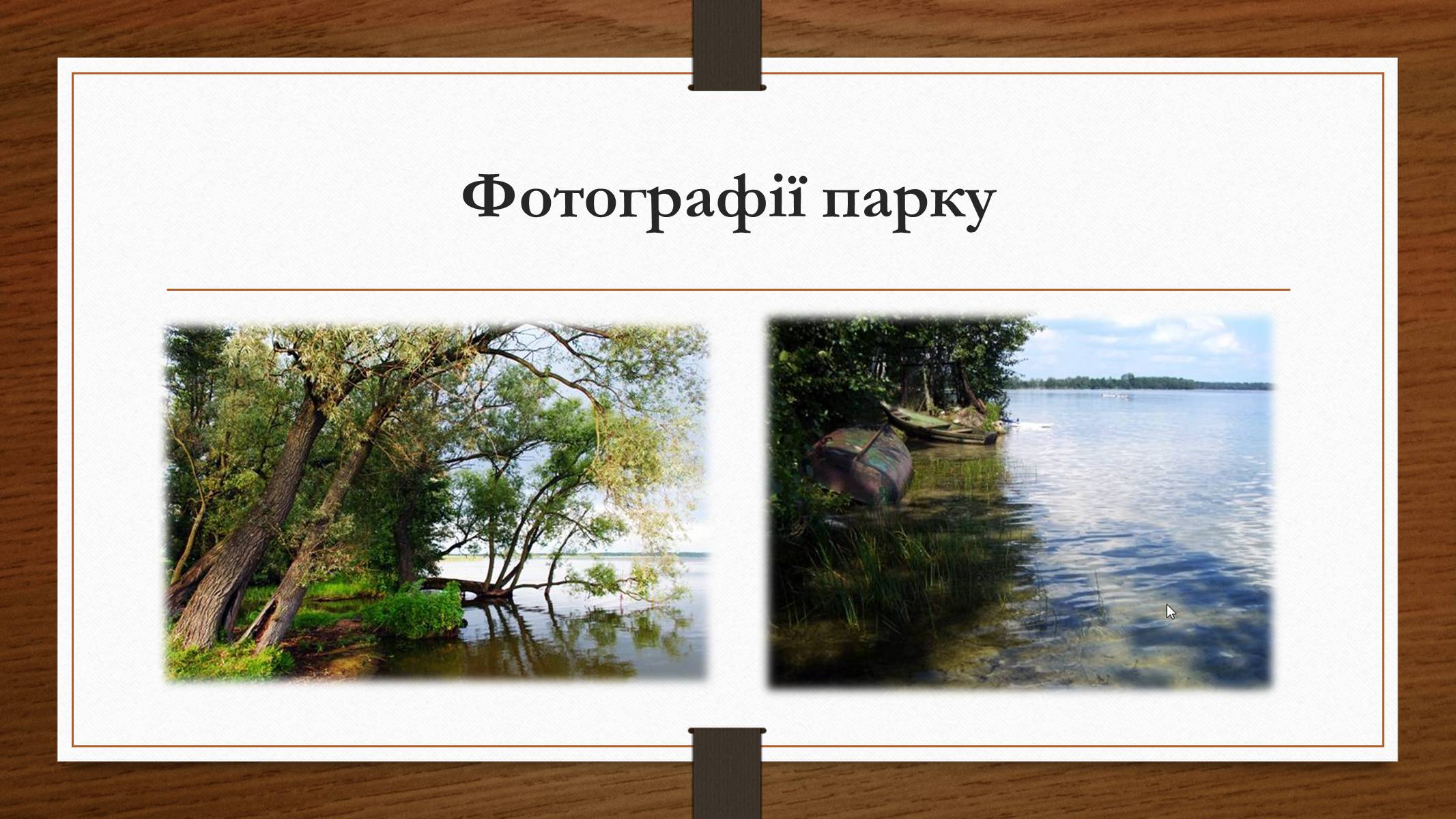 Презентація на тему «Шацький національний природний парк» (варіант 1) - Слайд #7
