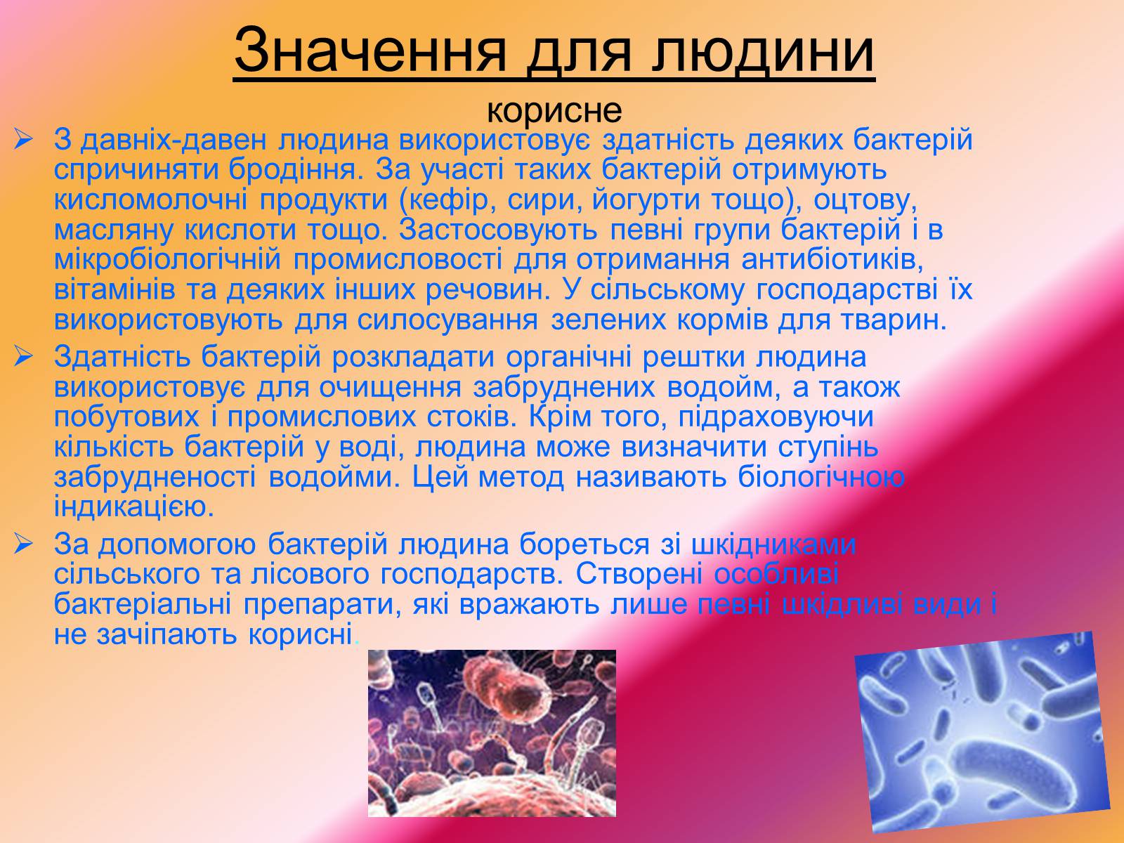 Презентація на тему «Значення бактерій» - Слайд #3