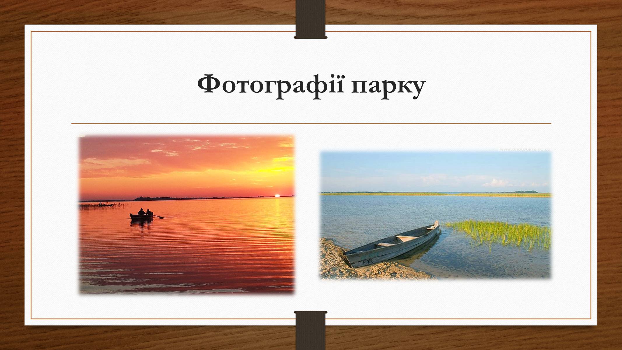 Презентація на тему «Шацький національний природний парк» (варіант 1) - Слайд #9