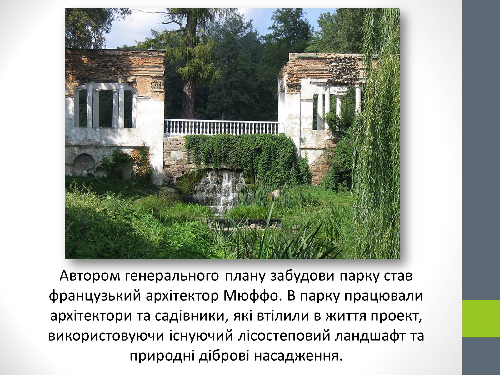 Презентація на тему «Державний дендрологічний парк «Олександрія»» - Слайд #4