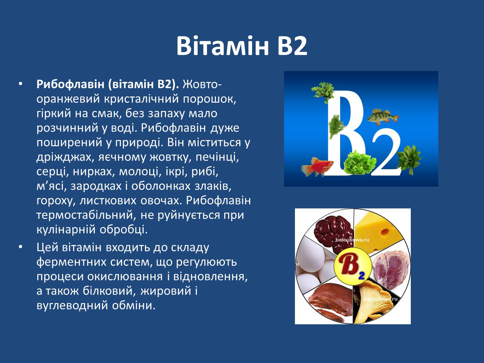 Презентація на тему «Витаміни» (варіант 7) - Слайд #25