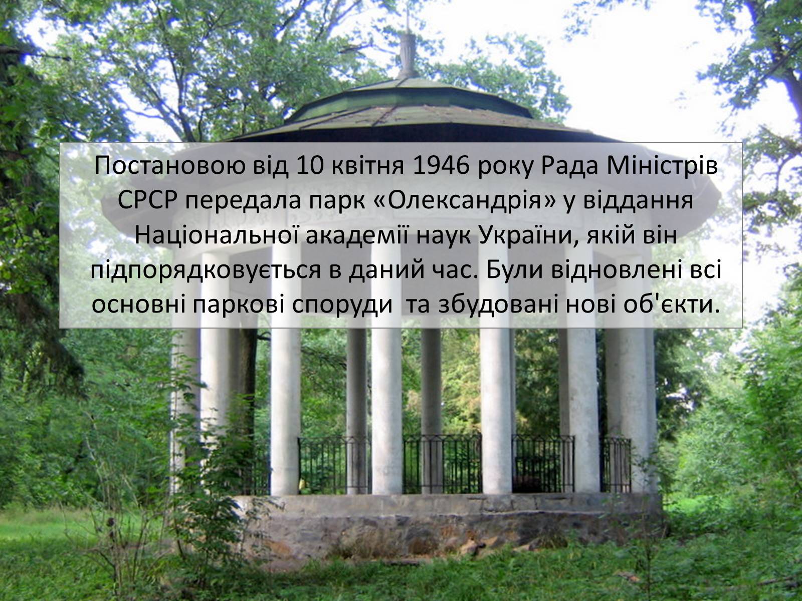 Презентація на тему «Державний дендрологічний парк «Олександрія»» - Слайд #12