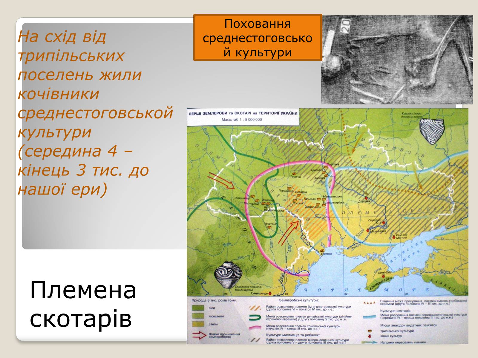 Презентація на тему «Перші землероби і скотарі на території України» - Слайд #24
