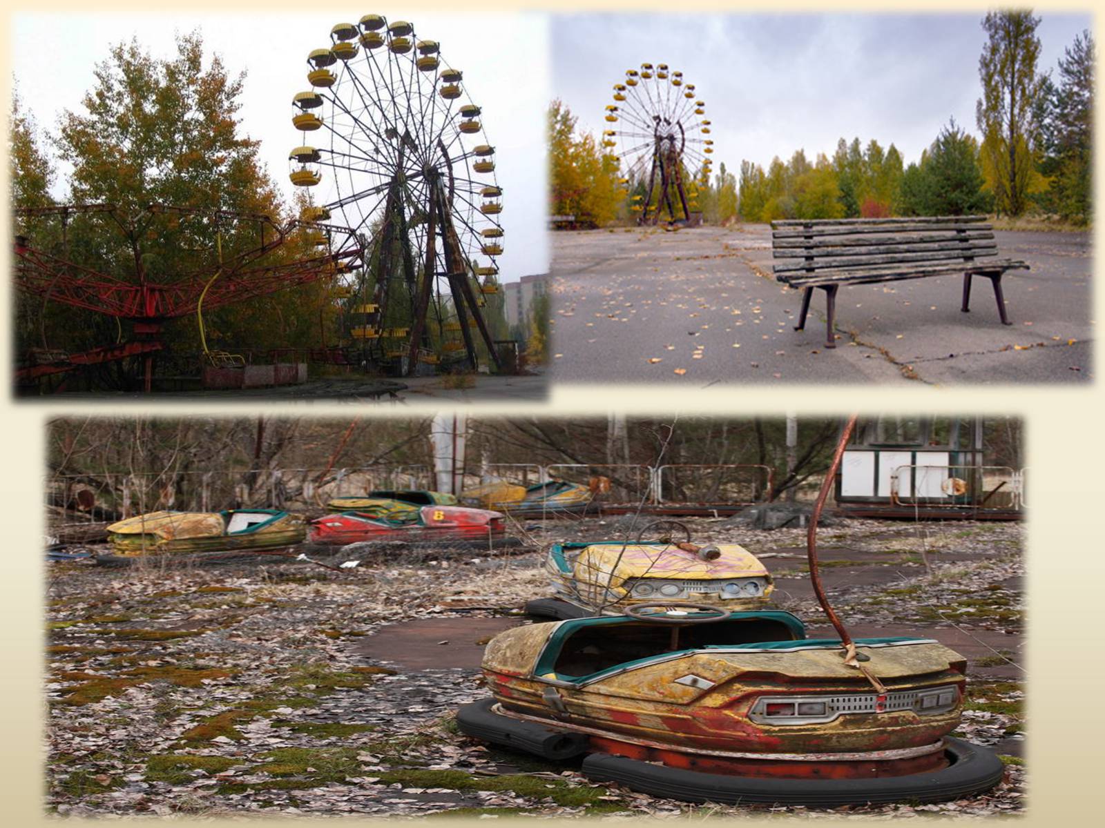 Презентація на тему «Чорнобиль» (варіант 2) - Слайд #5