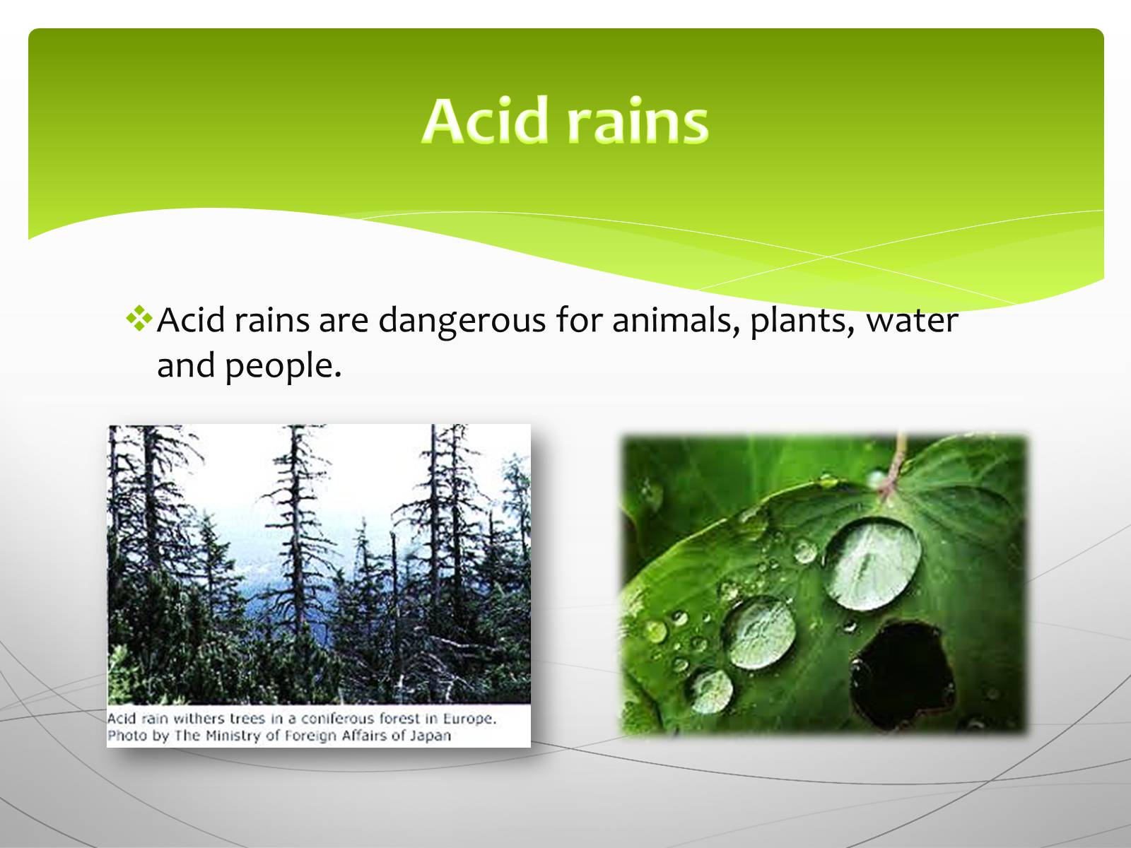 Acid Rain слайд