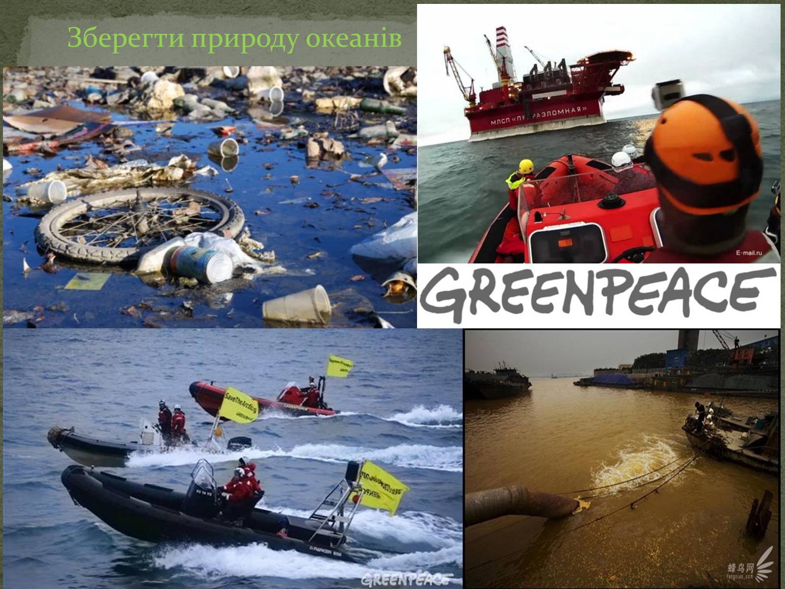 Презентація на тему «Greenpeace» (варіант 1) - Слайд #7