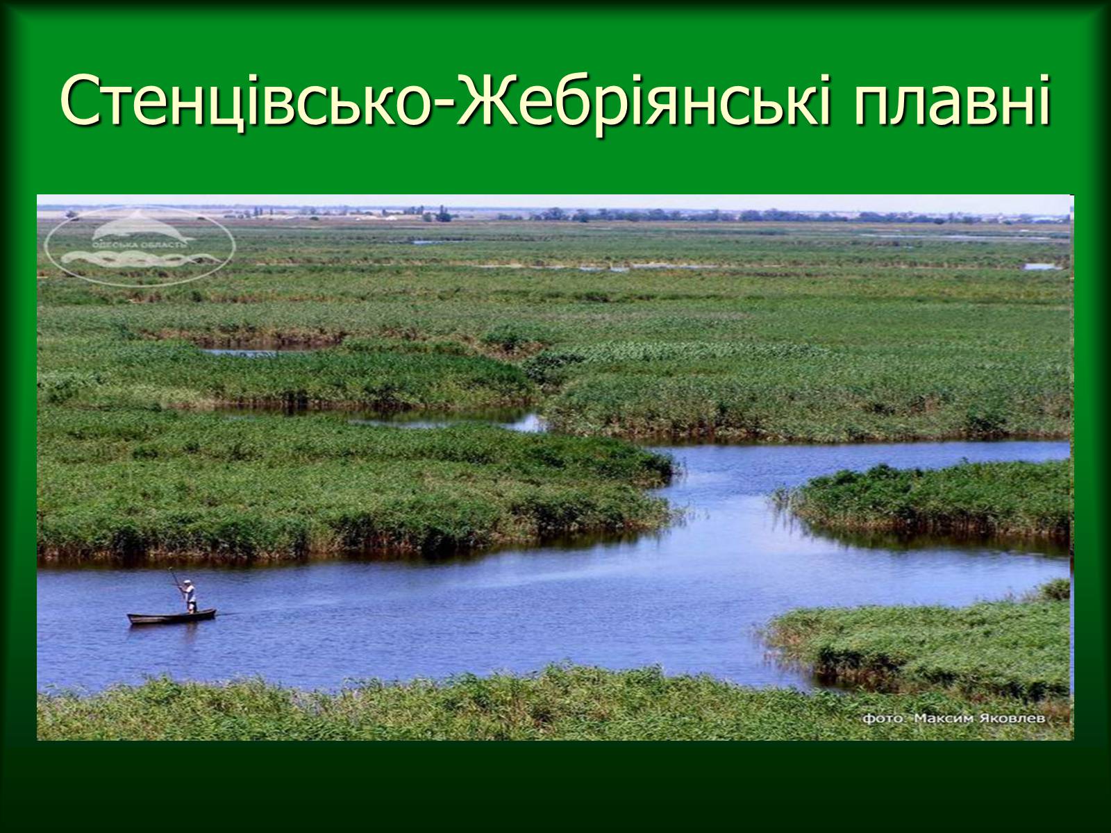 Презентація на тему «Дунайський біосферний заповідник України» - Слайд #17