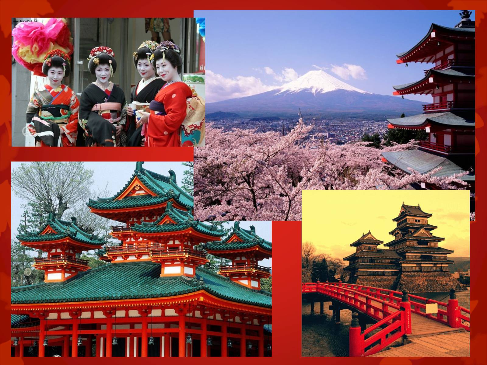 Презентація на тему «Визначні пам’ятки Японії» - Слайд #11
