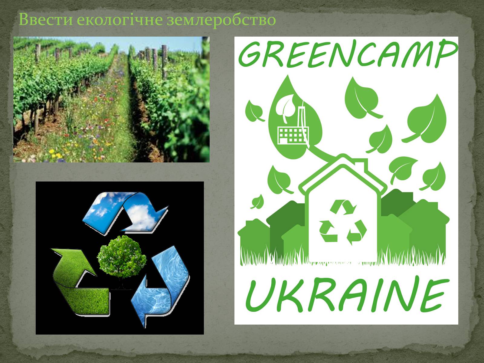 Презентація на тему «Greenpeace» (варіант 1) - Слайд #10