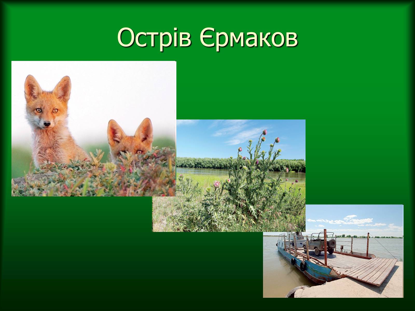 Презентація на тему «Дунайський біосферний заповідник України» - Слайд #19