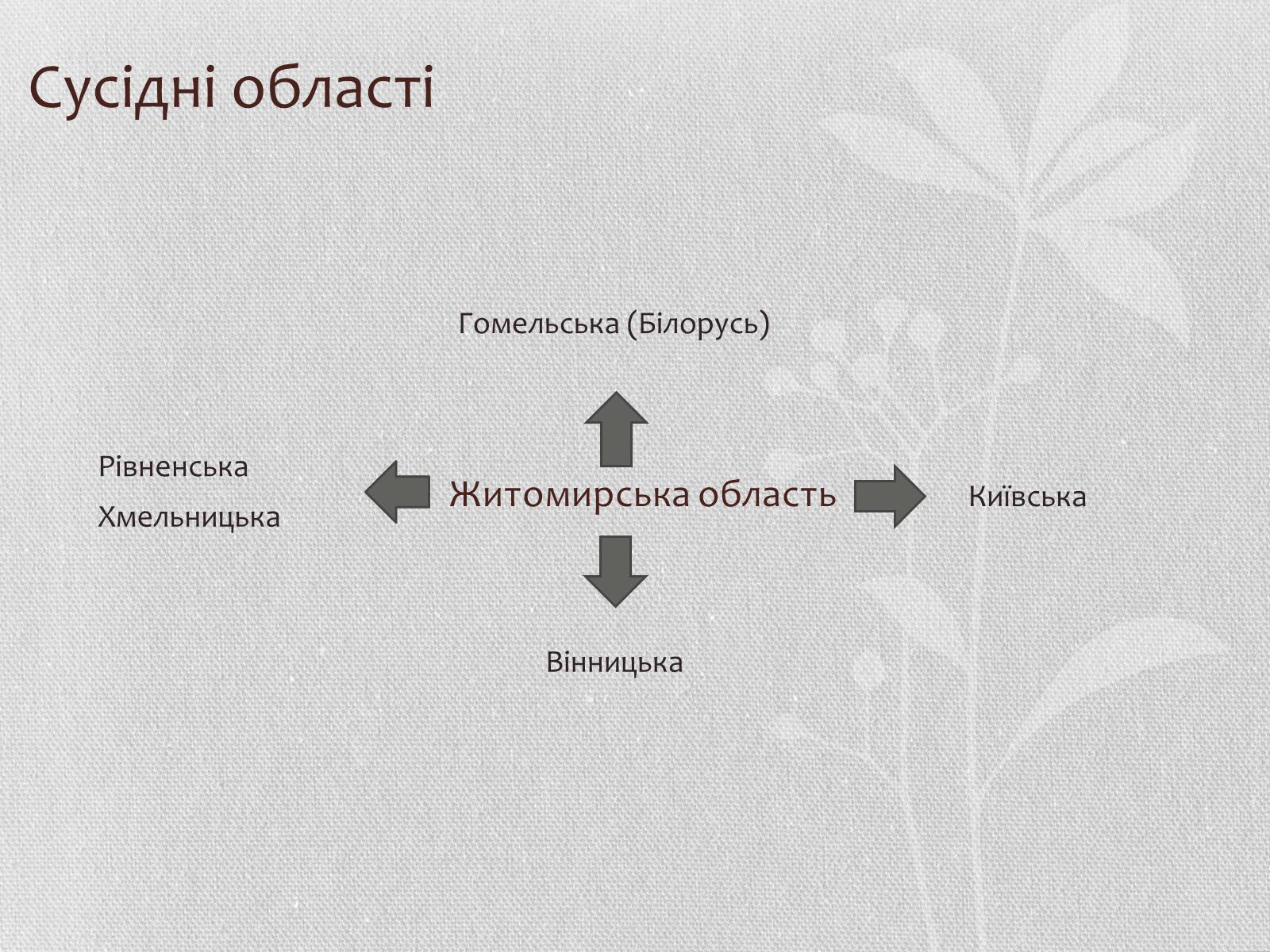 Презентація на тему «Житомирська область» - Слайд #19