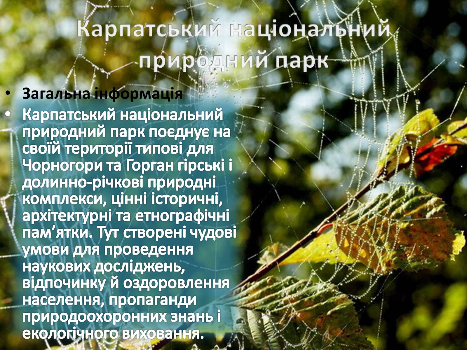 Презентація на тему «Національні природні парки України» (варіант 1) - Слайд #14