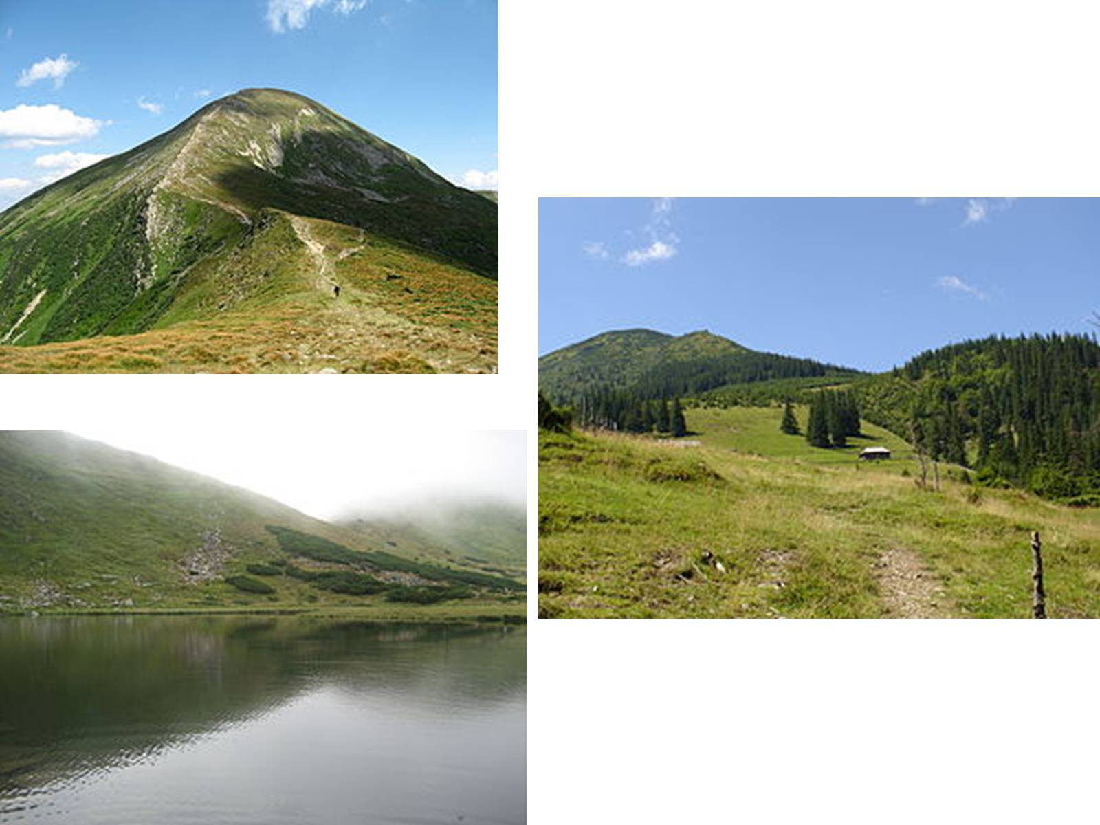 Презентація на тему «Національні природні парки України» (варіант 1) - Слайд #16