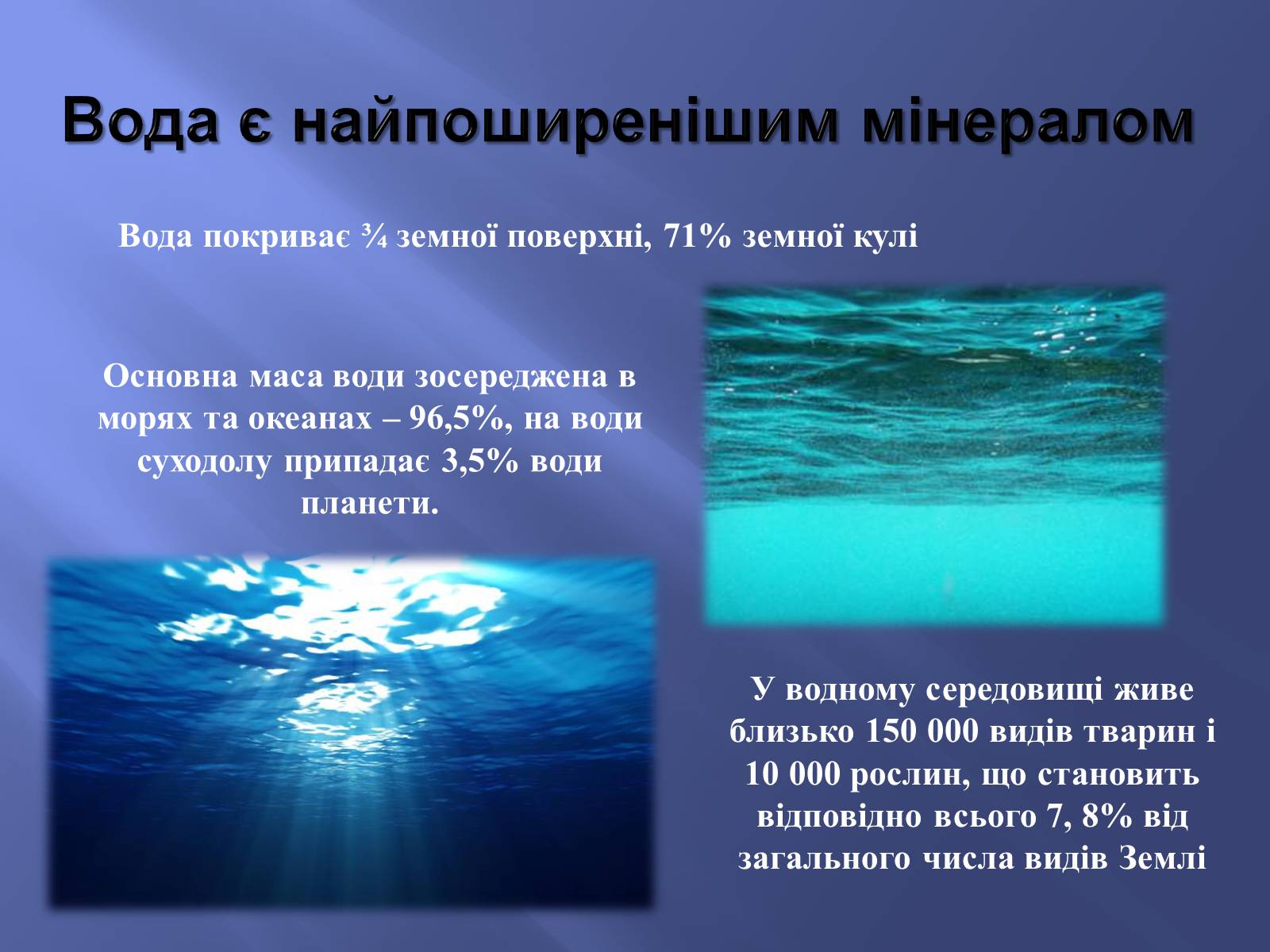 Презентація на тему «Водне середовище» (варіант 2) - Слайд #2