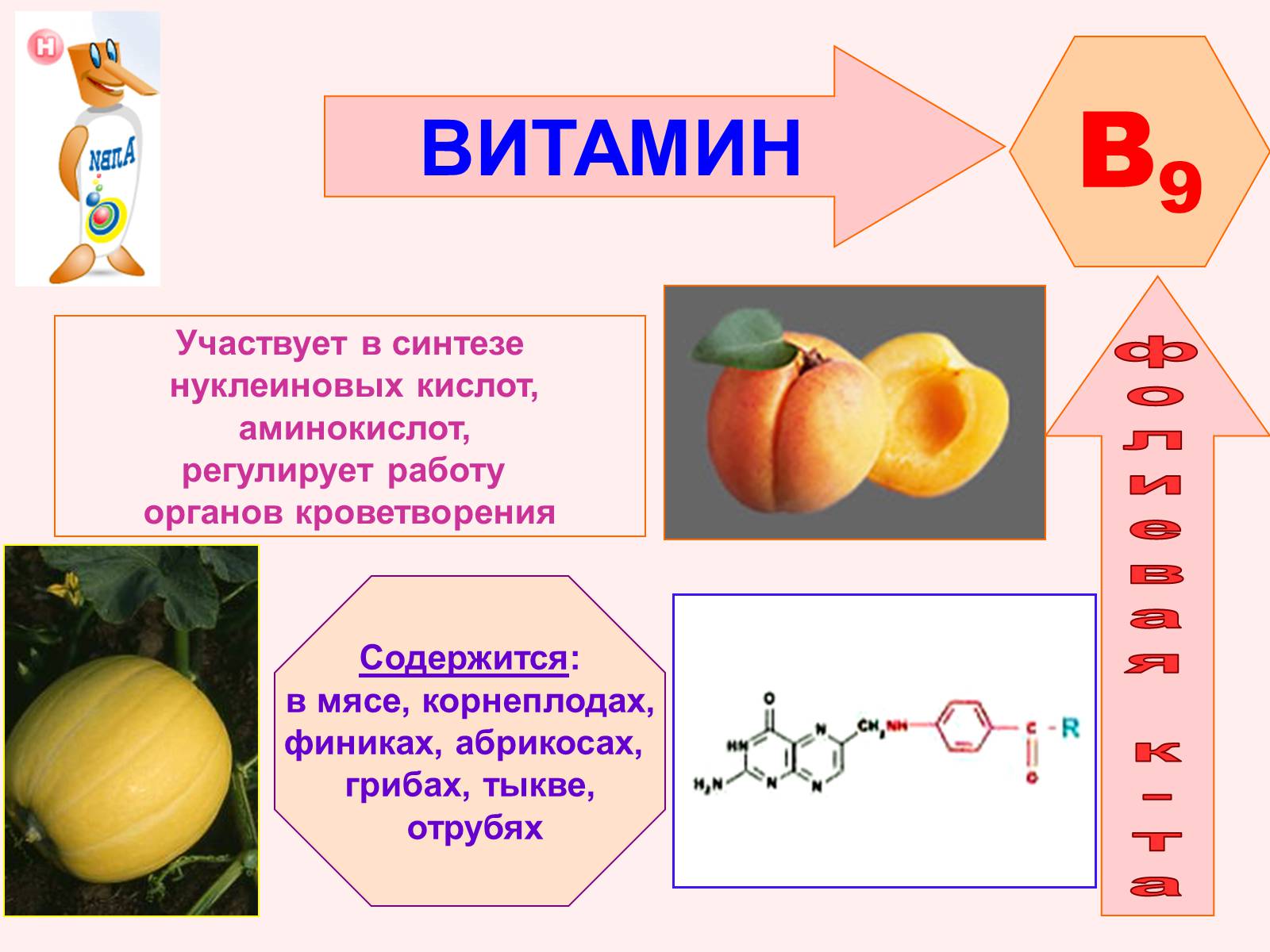 Нуклеиновые кислоты витамины. Фолиевая кислота витамин в9. Витамин б9 фолиевая кислота. Витамин в9 название витамина. Витамин б9 фолиевая кислота продукты.