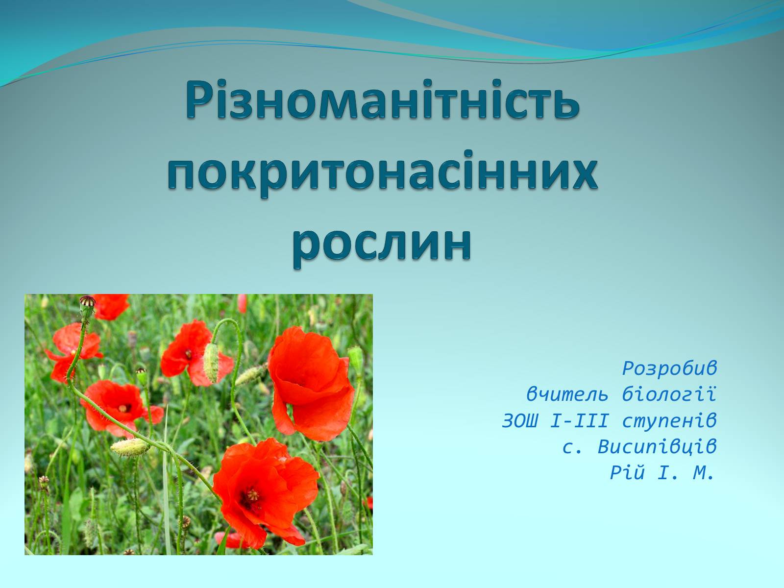 Презентація на тему «Різноманітність покритонасінних рослин» - Слайд #1