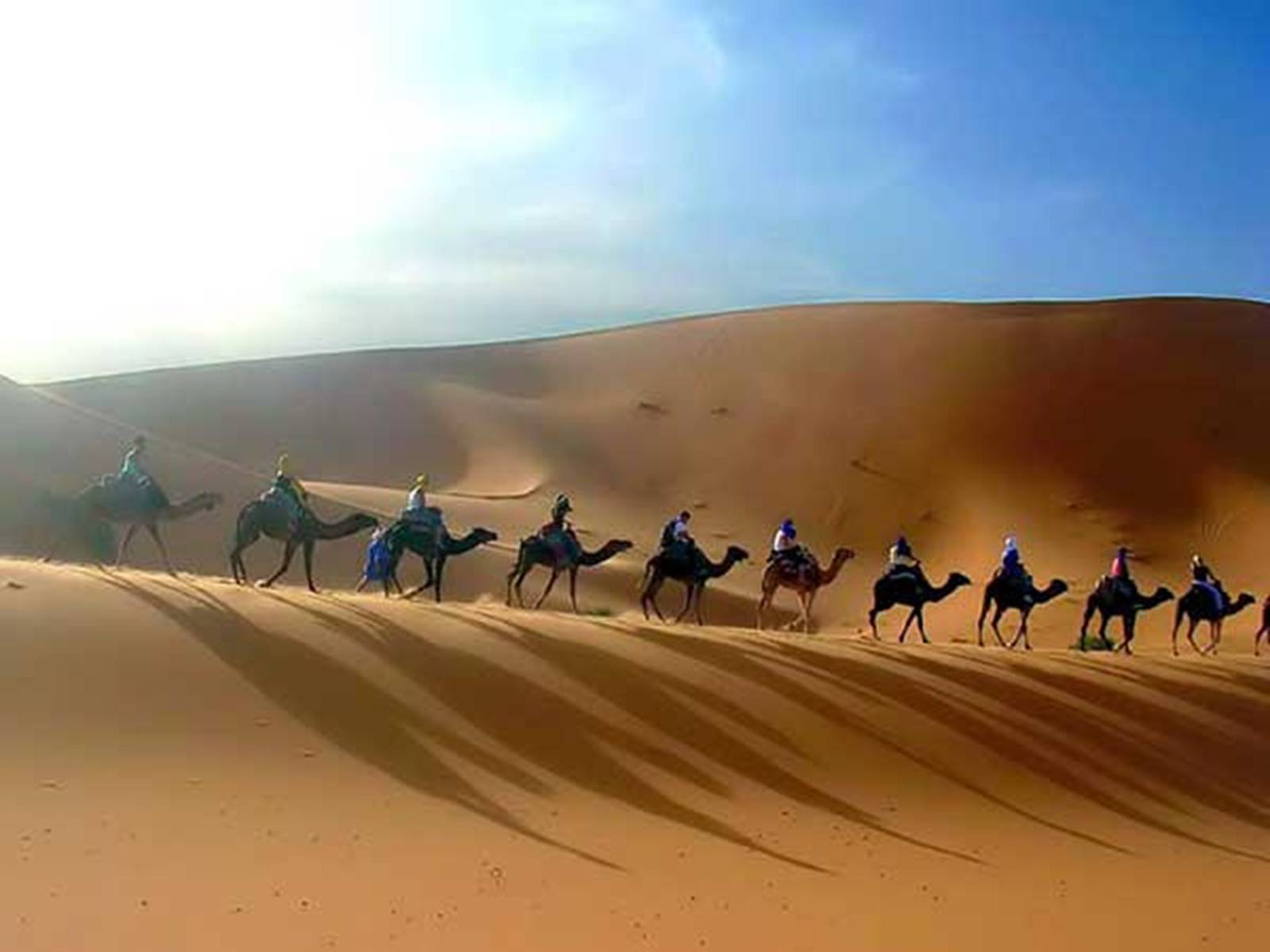 Караван какое слово. Караван верблюдов в пустыне фото. Ливийская пустыня. Пустыня сахара в Тунисе. Жители Туниса фото.