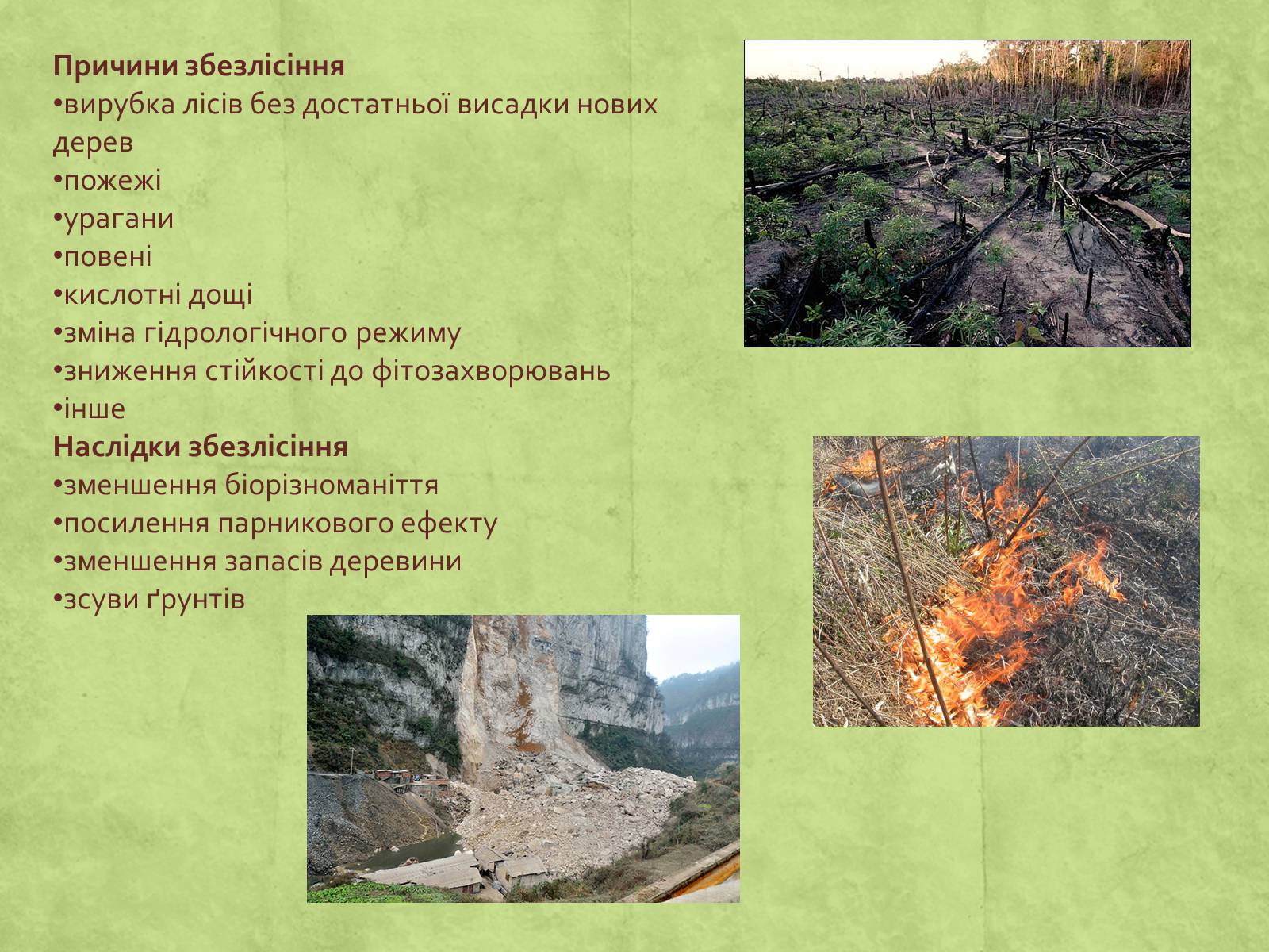 Презентація на тему «Екологія» (варіант 3) - Слайд #39