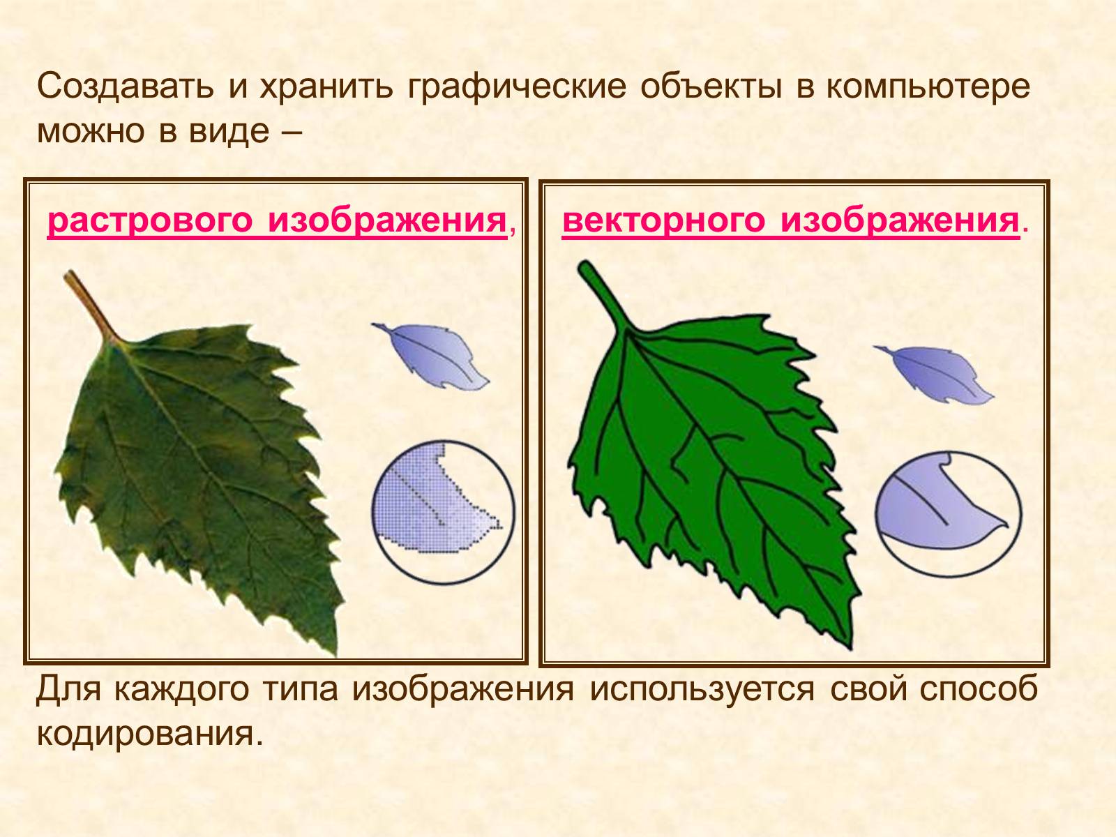 Векторная и растровая картинка