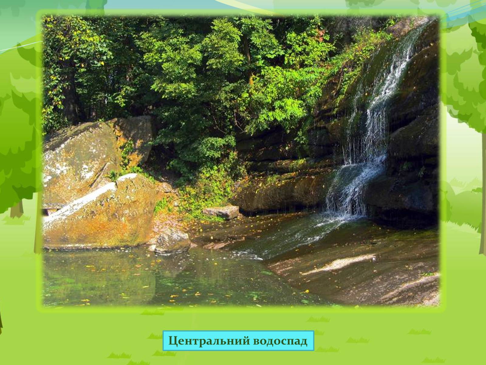 Презентація на тему «Національний дендрологічний парк «Софіївка»» (варіант 2) - Слайд #8