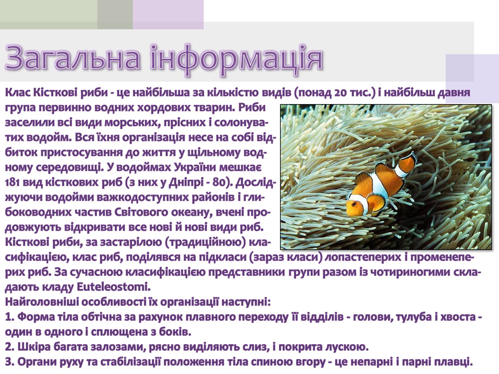 Презентація на тему «Кісткові риби» (варіант 1) - Слайд #2