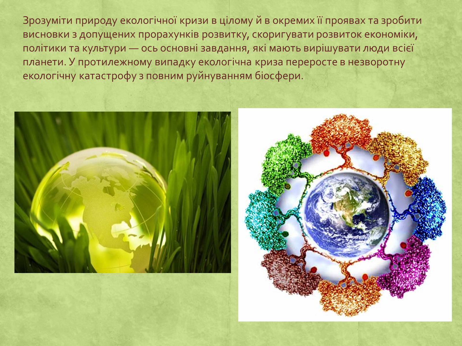 Презентація на тему «Екологія» (варіант 3) - Слайд #51