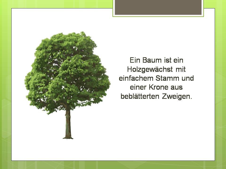 Презентація на тему «Der Baum» - Слайд #2