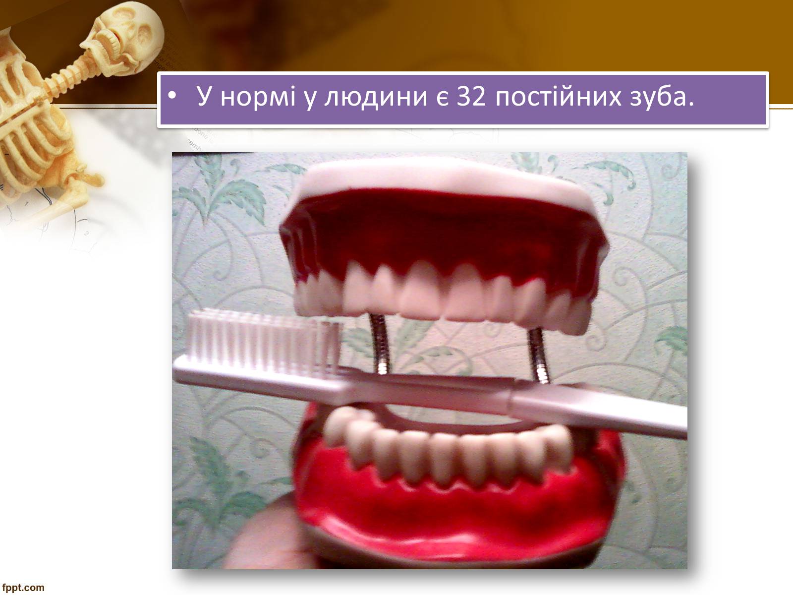 Презентація на тему «Бережіть свої зуби» - Слайд #4