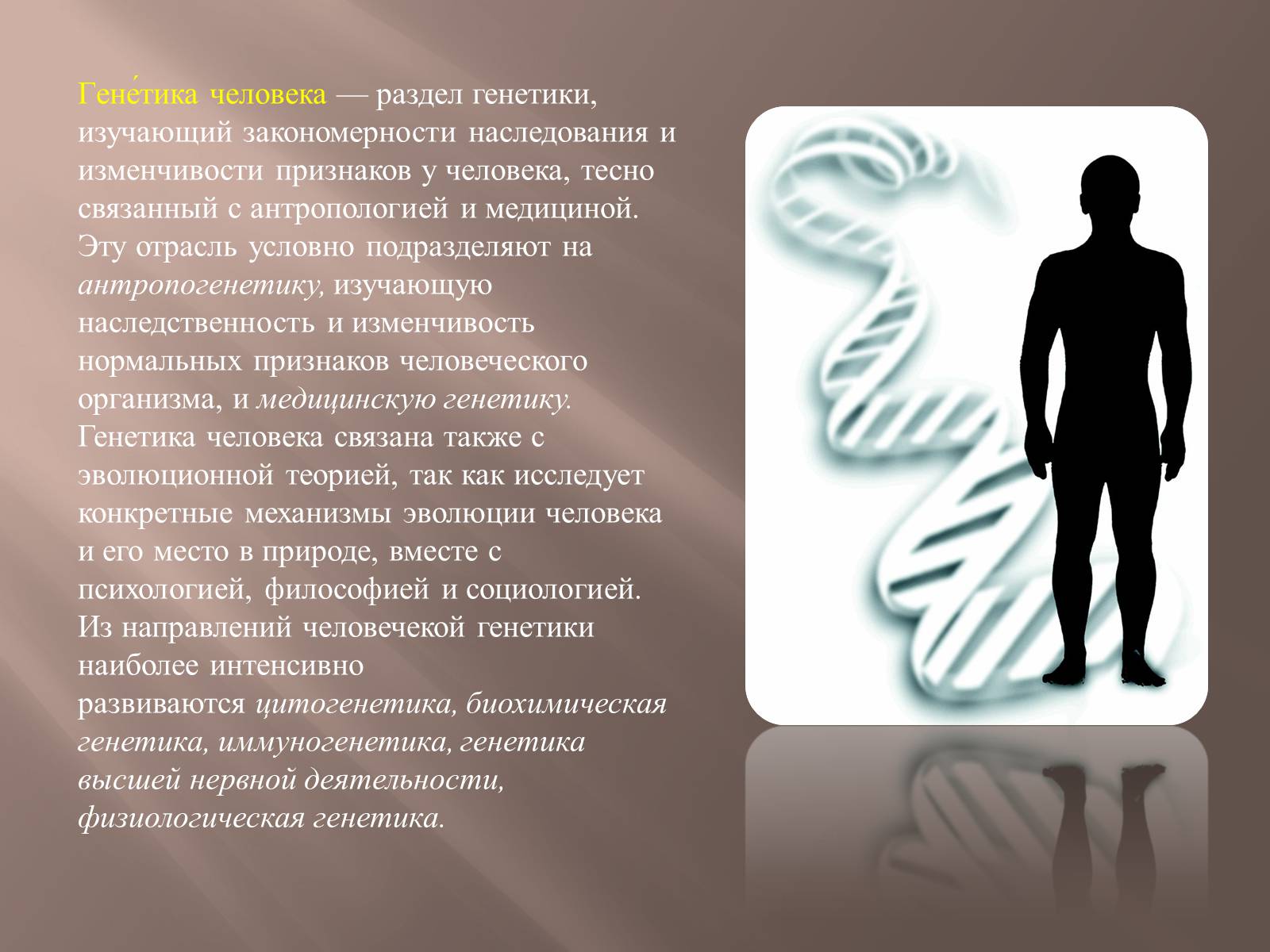 Презентація на тему «Генетика человека» (варіант 2) - Слайд #2