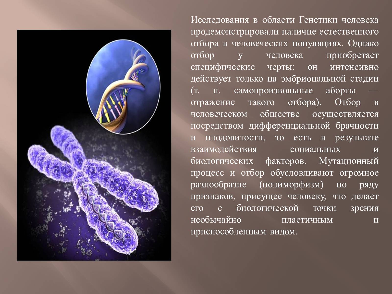 Презентація на тему «Генетика человека» (варіант 2) - Слайд #8
