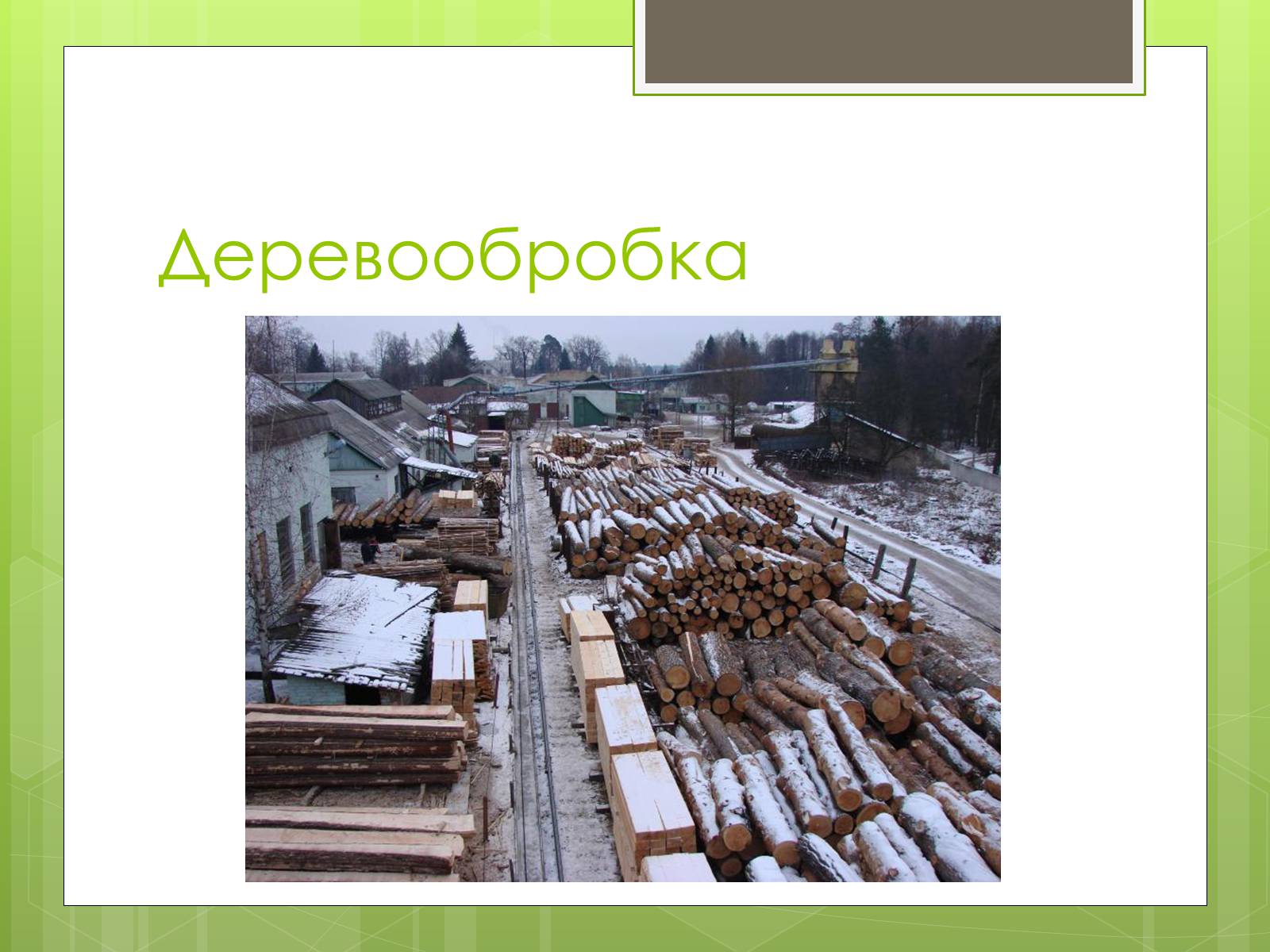 Презентація на тему «Карпатський економічний район» (варіант 4) - Слайд #25