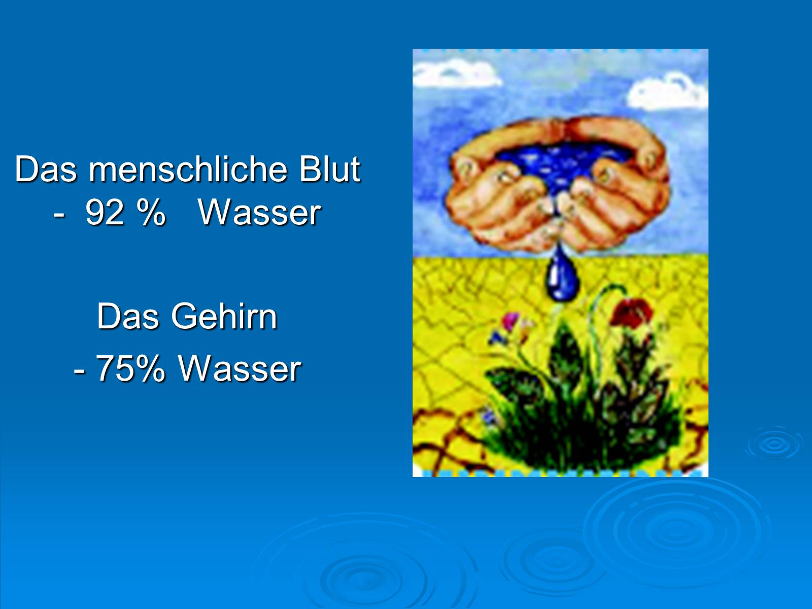 Презентація на тему «Wasser – eine Lebenskraft» - Слайд #5