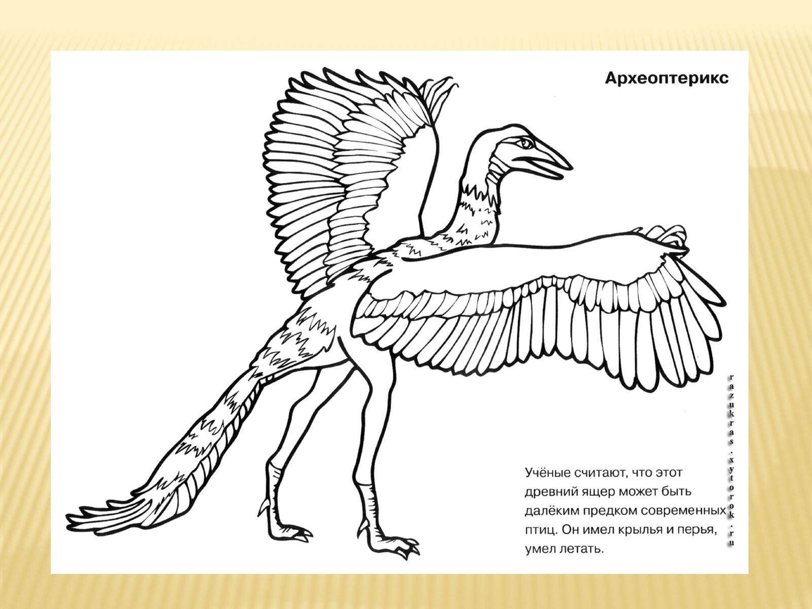 Летающие динозавры Археоптерикс