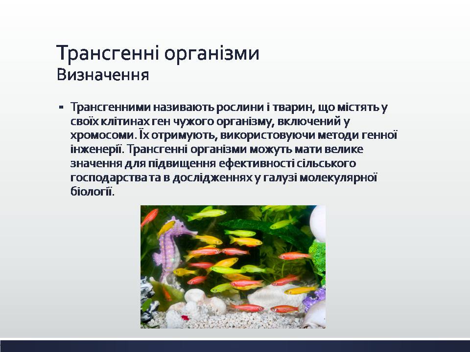 Презентація на тему «Химерні та трансгенні організми. Генетичні основи селекції організмів» - Слайд #7