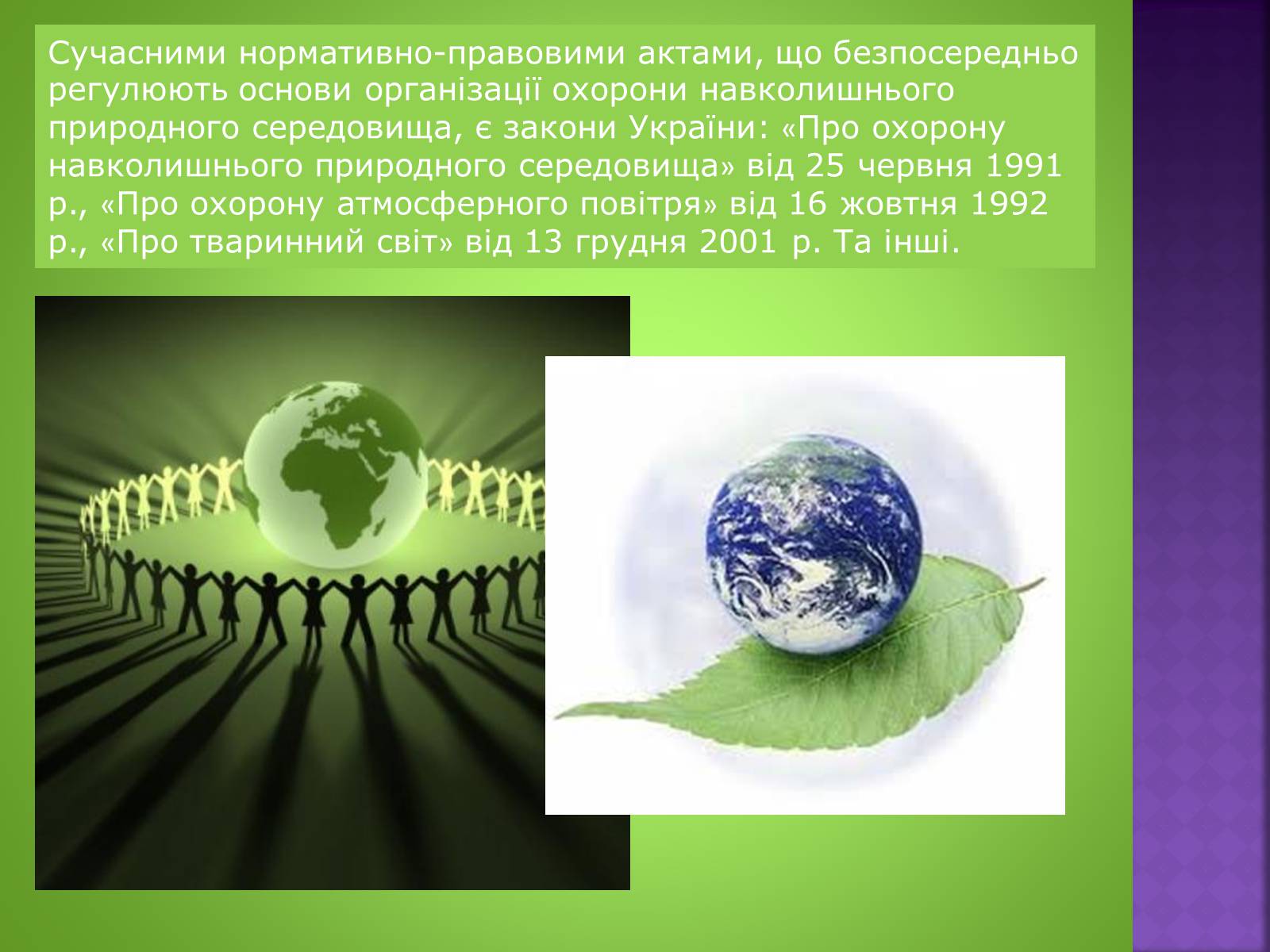 Презентація на тему «Екологічне право» - Слайд #8