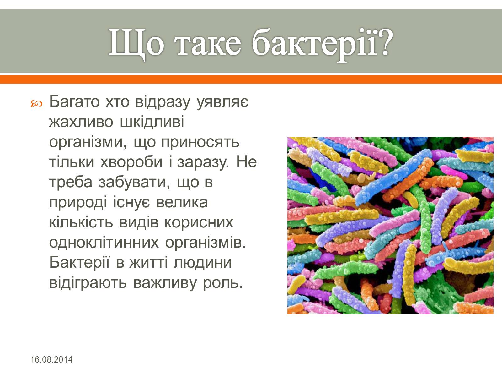 Презентація на тему «Бактерії» (варіант 1) - Слайд #2