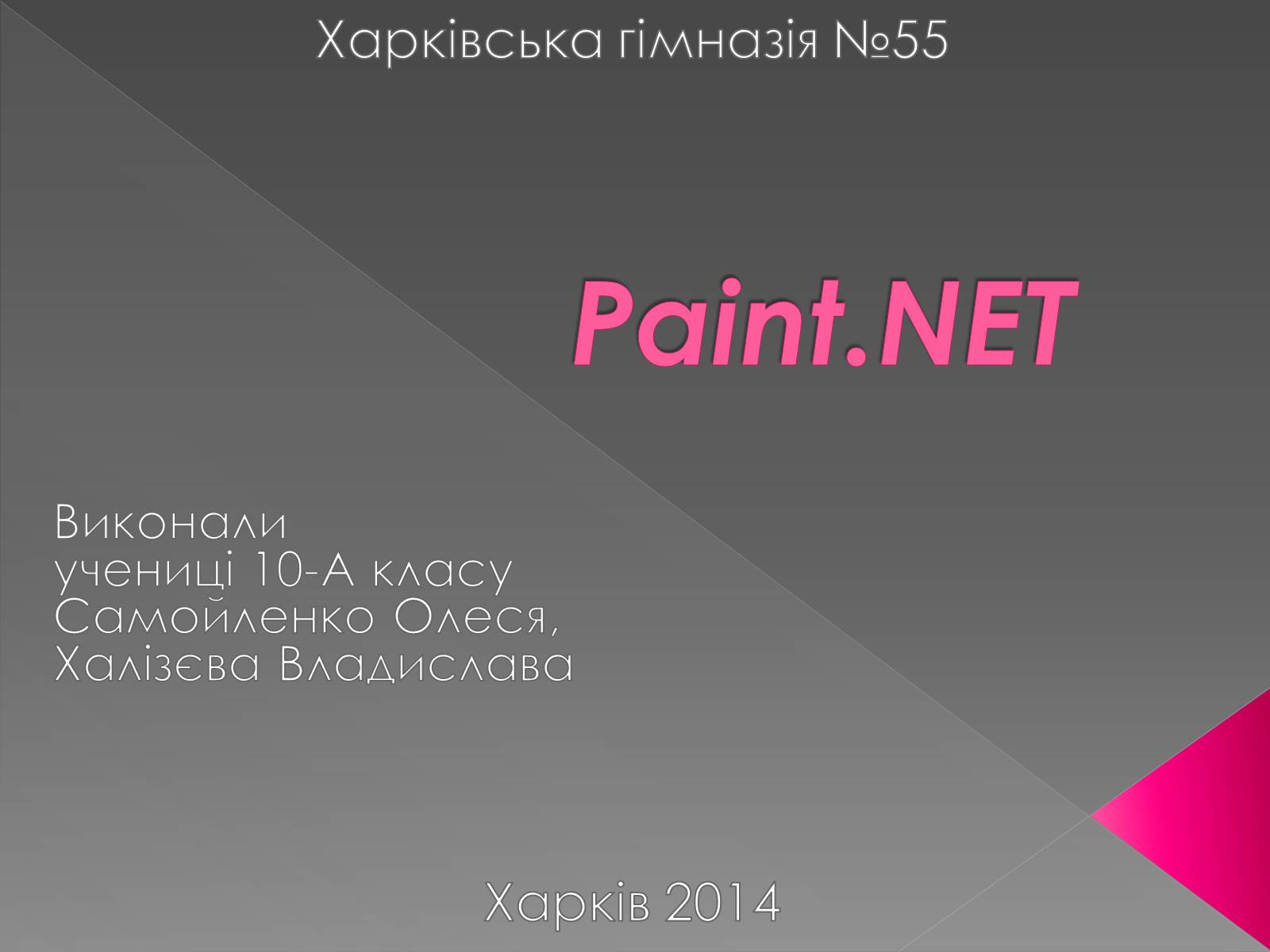 Презентація на тему «Paint.NET» - Слайд #1