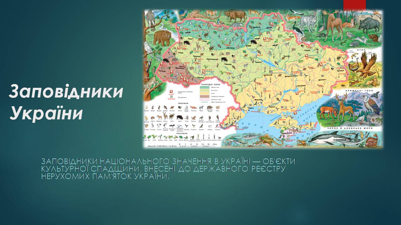 Презентація на тему «Заповідна мережа України» (варіант 7) - Слайд #1