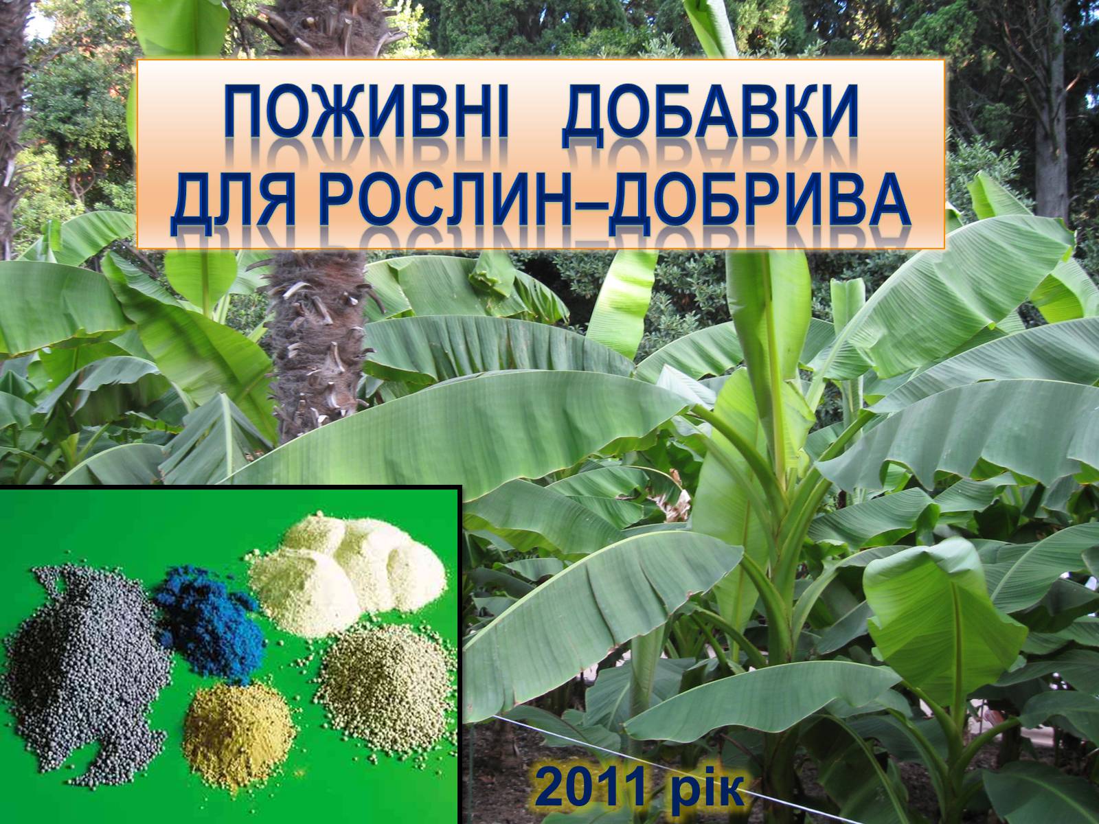 Презентація на тему «Поживні добавки для рослин – ДОБРИВА» - Слайд #1