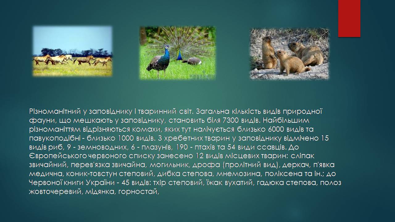Презентація на тему «Заповідна мережа України» (варіант 7) - Слайд #7