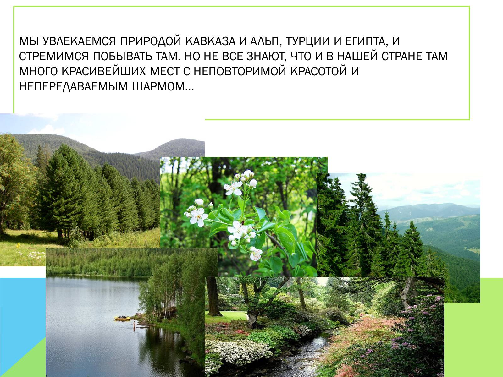 Презентація на тему «Национальные природные парки Украины» - Слайд #2
