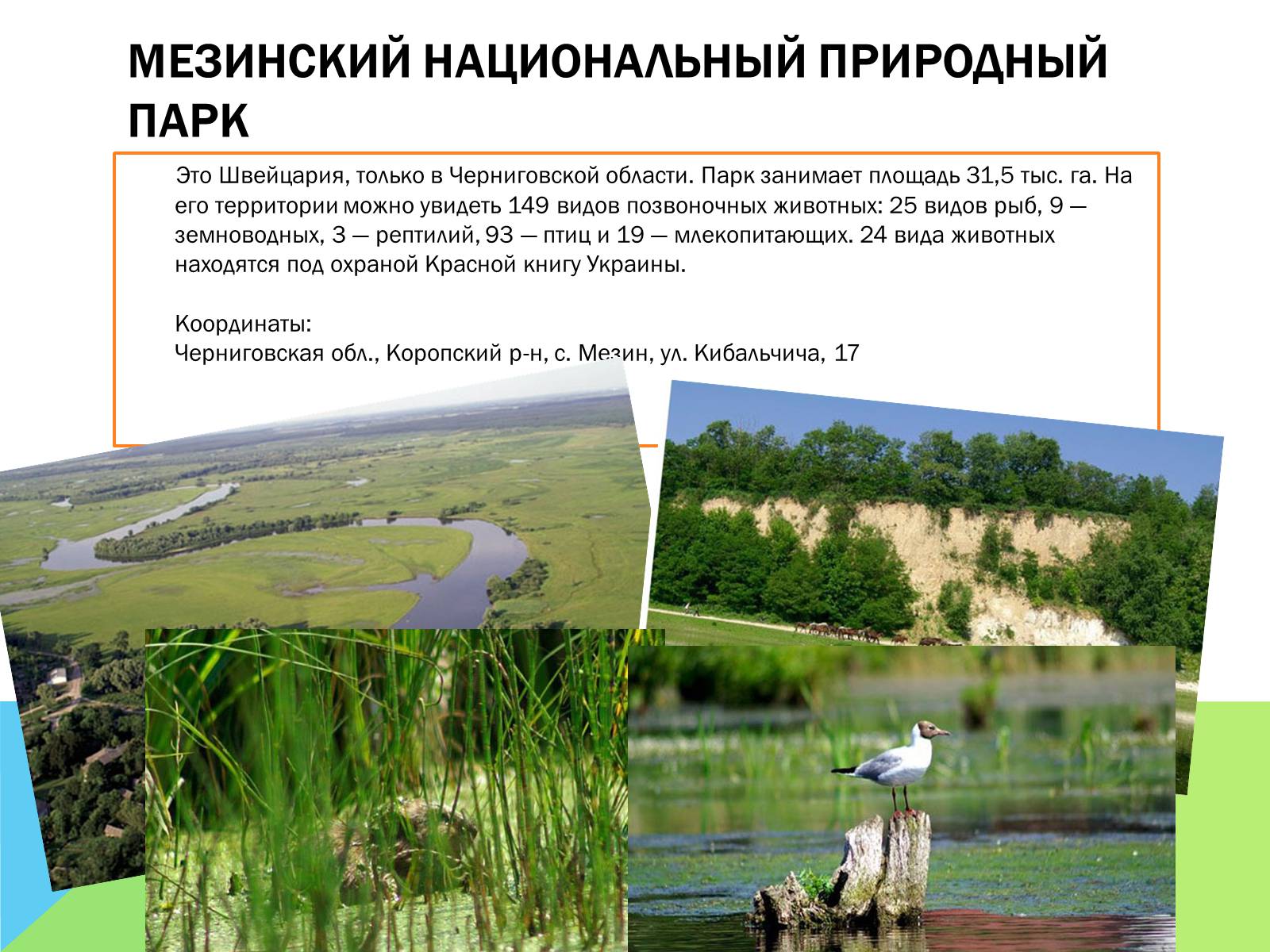 Презентація на тему «Национальные природные парки Украины» - Слайд #5